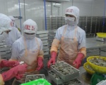 Chiến tranh thương mại Mỹ - Trung: Cơ hội và thách thức cho tôm Việt Nam