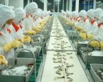 Tin tức thủy sản
