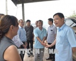 Giá tôm thẻ đang sụt mạnh, sắp khởi sắc trở lại?