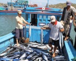 Thủy sản Việt Nam: Cùng nỗ lực để xóa bỏ thẻ vàng của EC