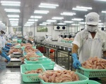 Hùng Vương lên kế hoạch xuất khẩu 60.000 tấn cá tra