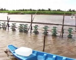 Sóc Trăng: Đầu tư nuôi tôm có trọng điểm