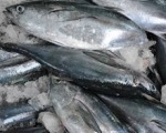  Mỹ dừng nhập khẩu thủy sản Trung Quốc