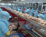 Vượt rào cản thương mại: Cá tra Việt Nam vẫn 
