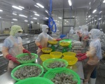 Xuất khẩu tôm Việt Nam vẫn giảm trong 2 tháng đầu năm