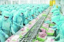 Cảnh báo thuỷ sản xuất khẩu đã “hạ nhiệt” nhưng vẫn ở mức cao
