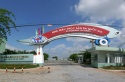 Cá tra được mùa, công ty Đầu tư và Phát triển đa quốc gia (IDI) báo lãi 150 tỷ đồng, tăng 190% so với cùng kỳ năm trước